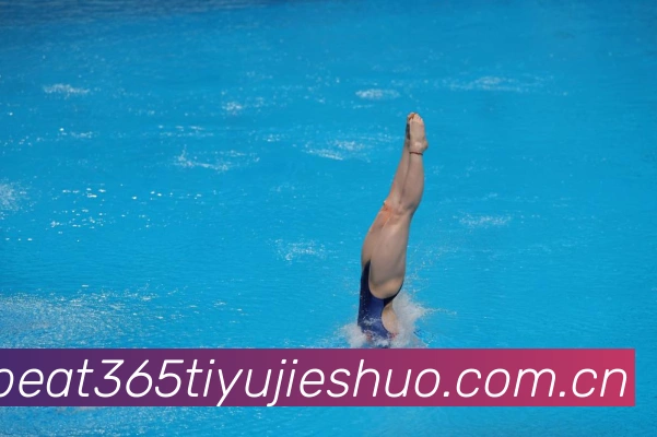 德容成长轨迹与未来前景解析-深度解析 德容成长轨迹与未来前景解析-深度解析